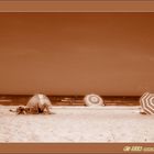 The beach of Laboe