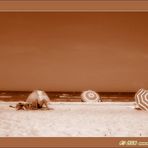 The beach of Laboe