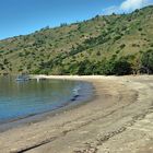 The beach of Loh Liang on Komodo island