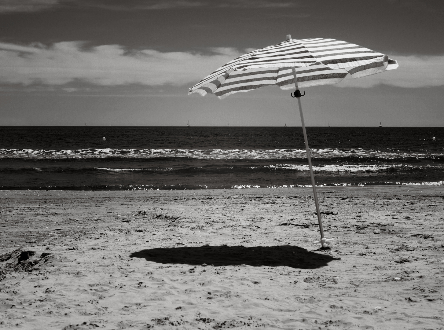 The Beach of Valencia