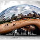 The Bean 2