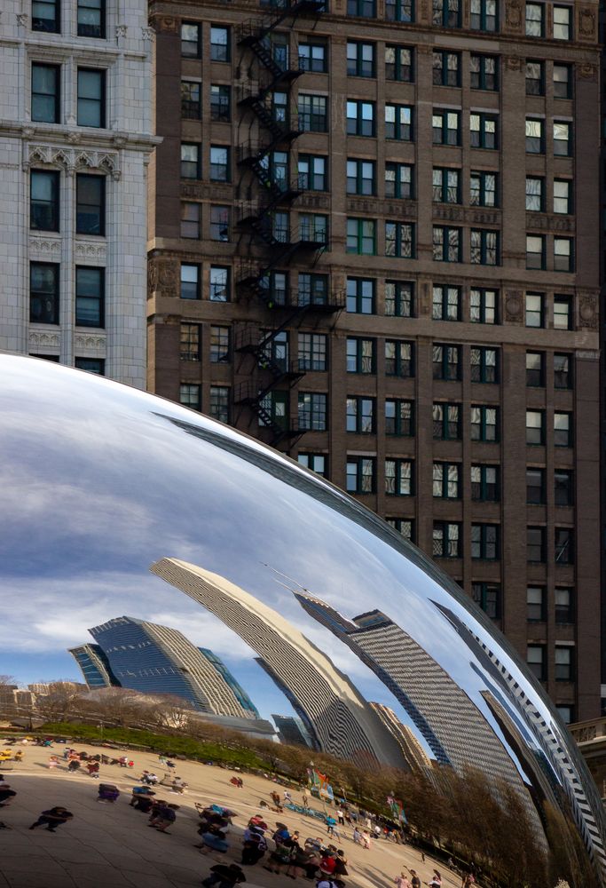 The Bean