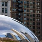 The Bean