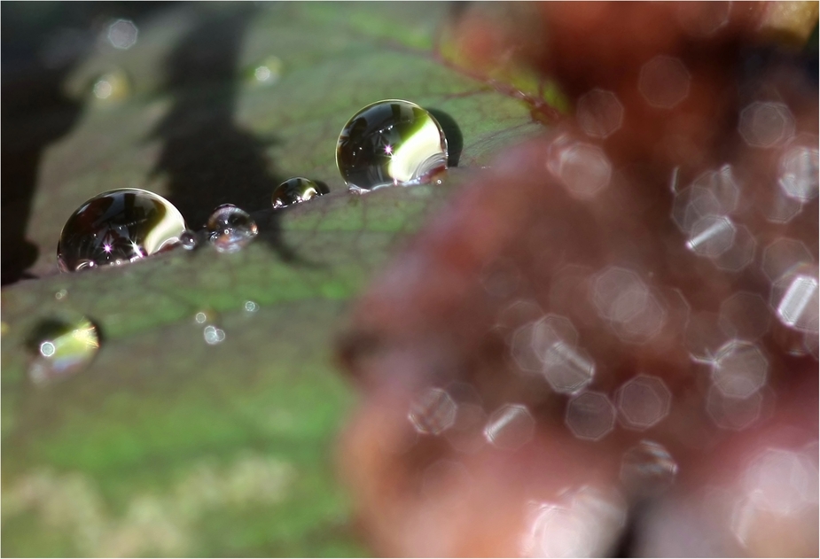 the beautiful side of Sauwetter