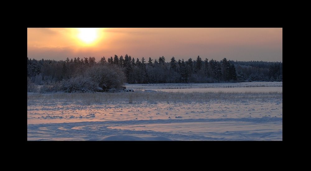 The beauty in winter time