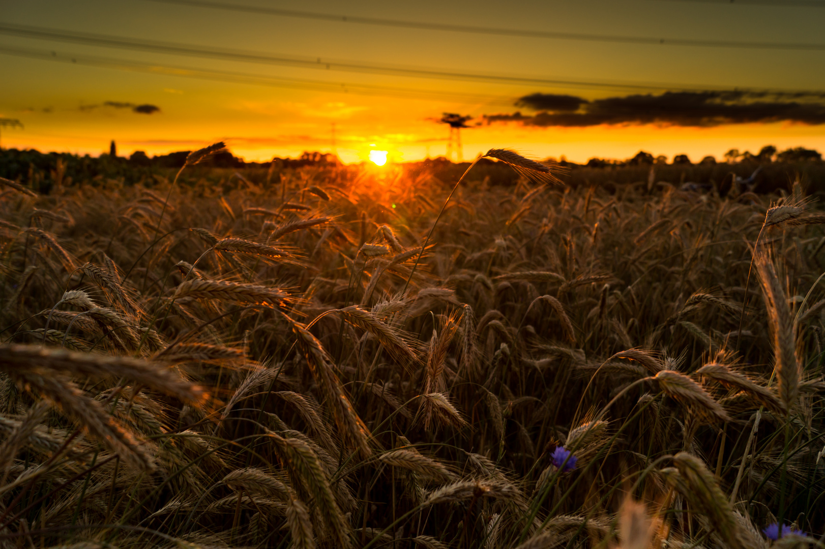 The beauty of a sunset shows us the world in a different light 