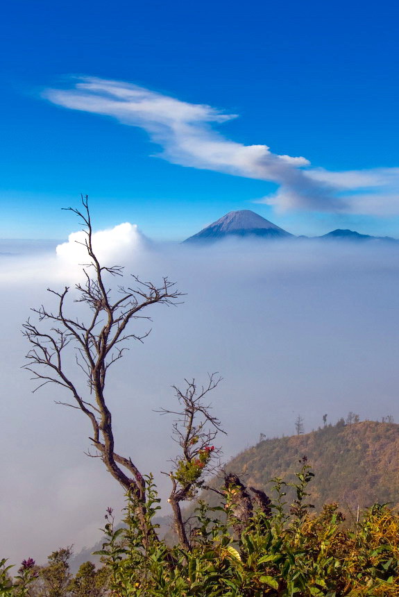 The Beauty of Mount Bromo