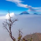 The Beauty of Mount Bromo