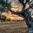 the beauty of nature