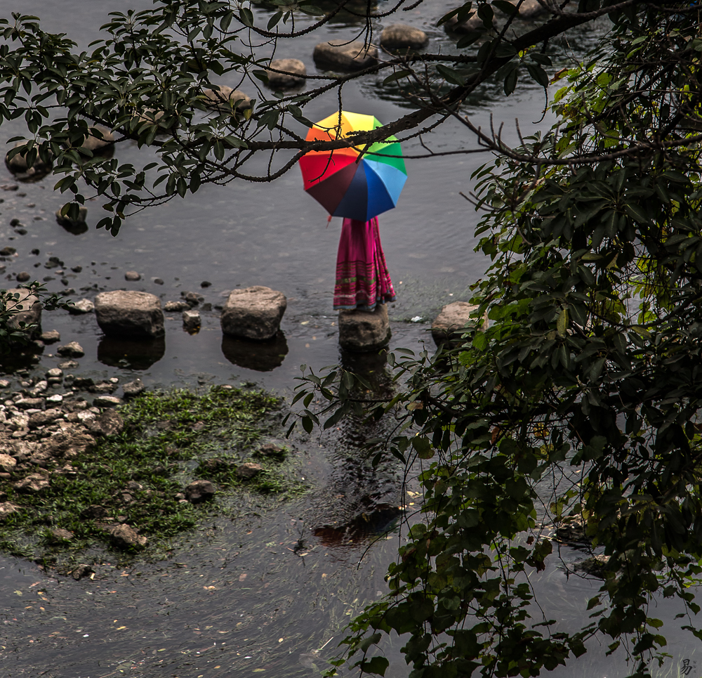 the beauty of river li