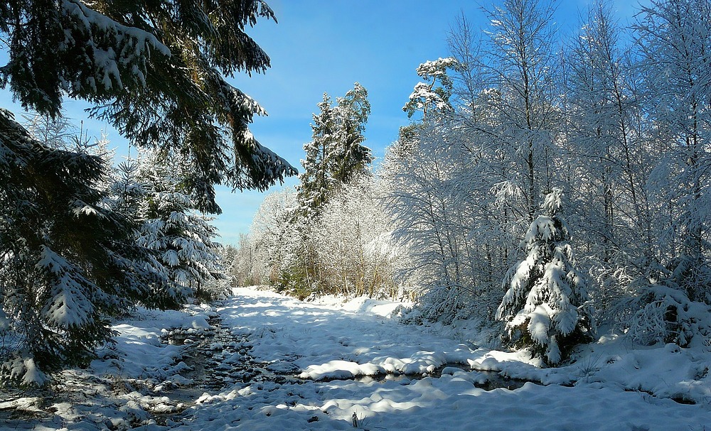 The Beauty of Snow (3)