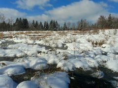 The Beauty of Snow (5)