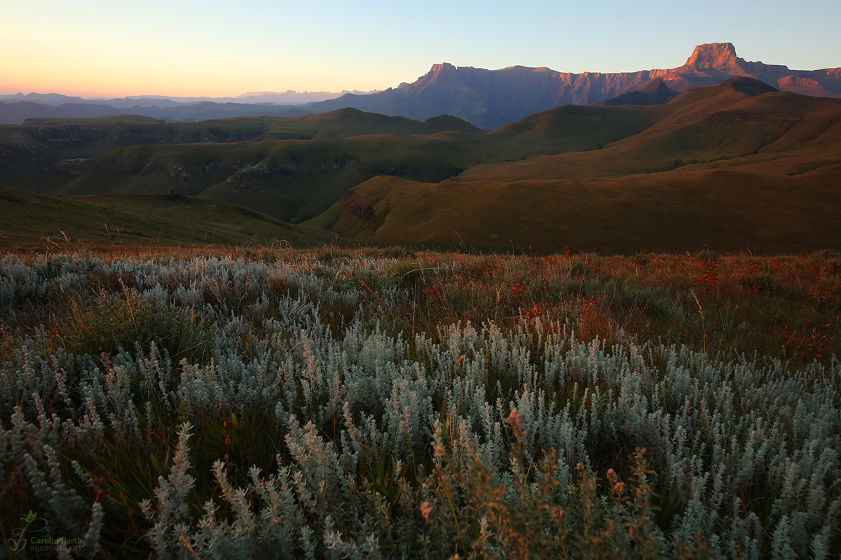 The beauty of the drakensberge