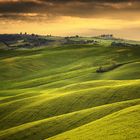 The Beauty Of Tuscany