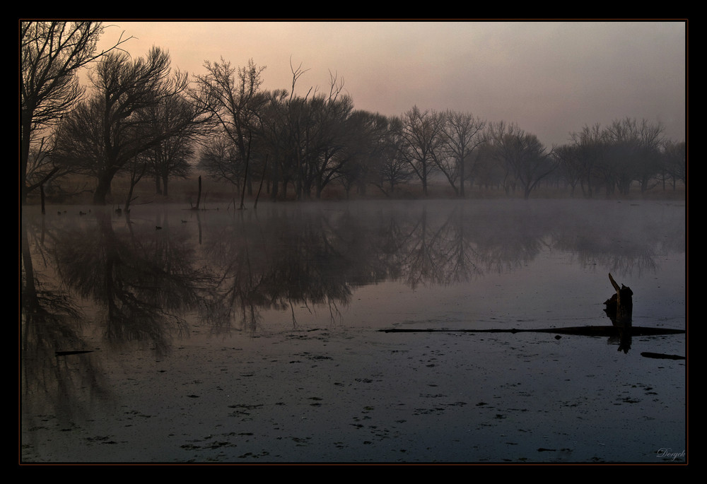 The Beauty of Winter....