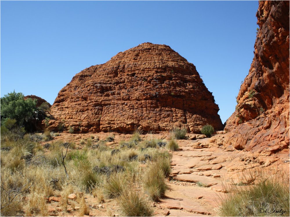 *** The Bee Hives of Kings Canyon ***