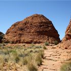 *** The Bee Hives of Kings Canyon ***