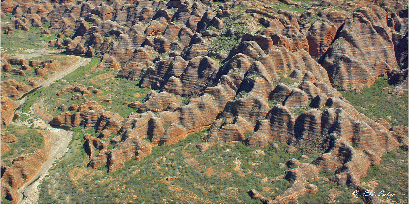 * The Bee Hives of Purnululu NP **