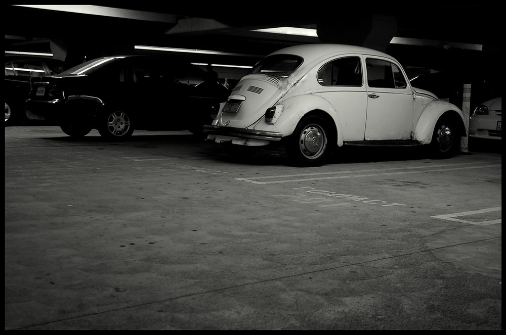 - The Beetle -