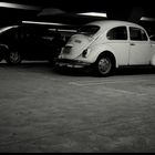 - The Beetle -