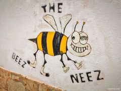 The Beez Neez