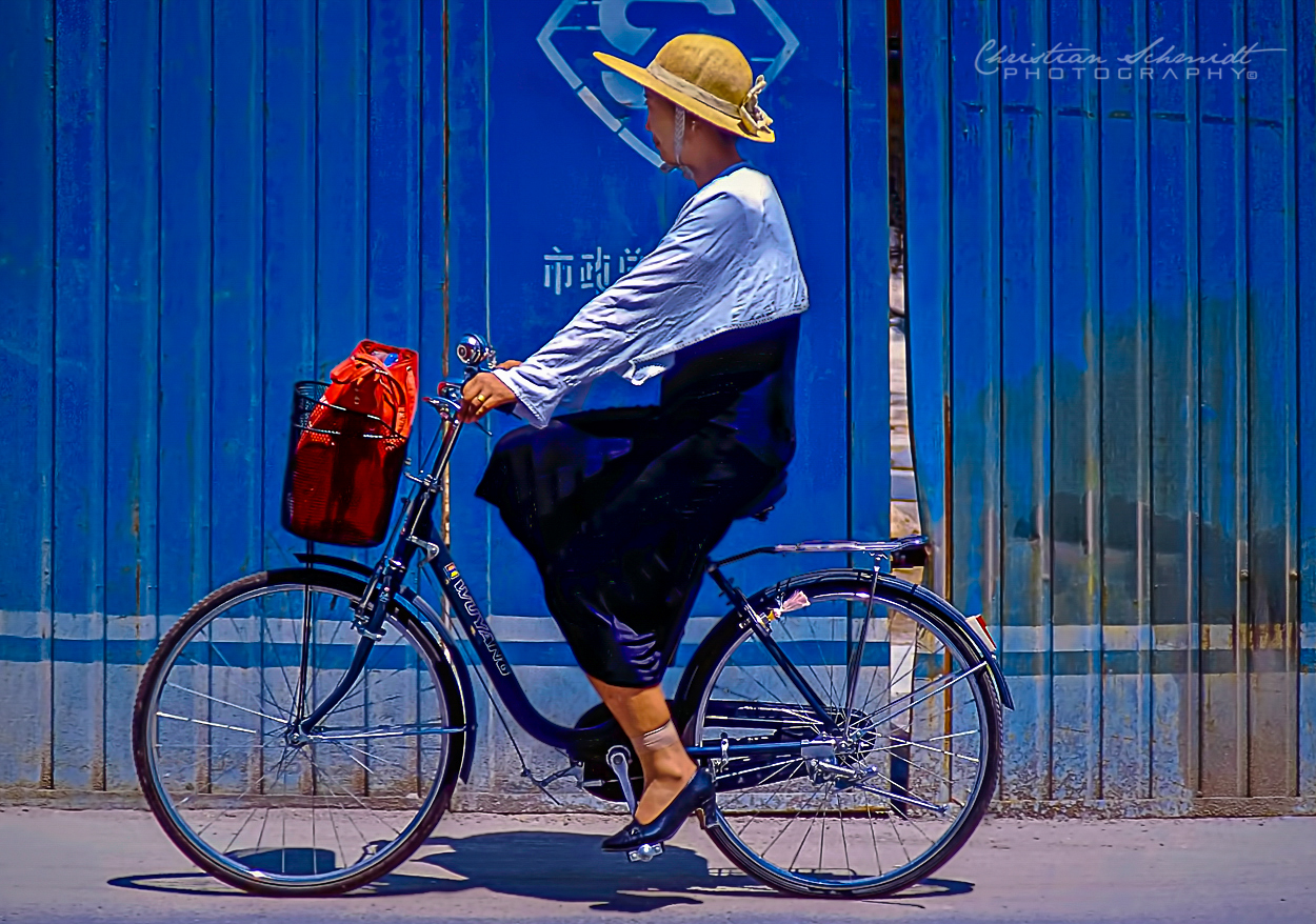 THE BEIJING BIKER 