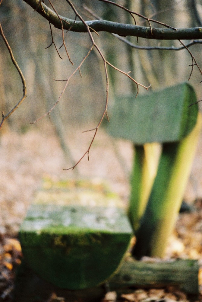 The Bench