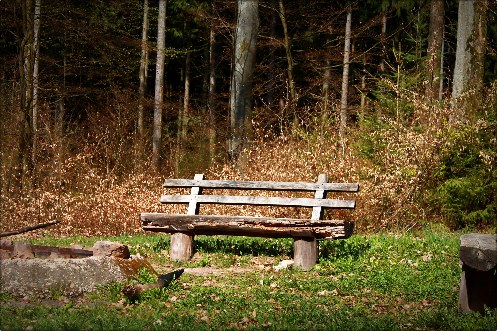 The Bench