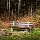 The Bench