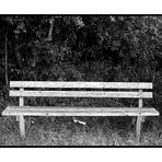 the bench