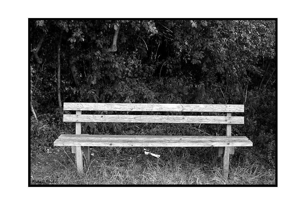 the bench