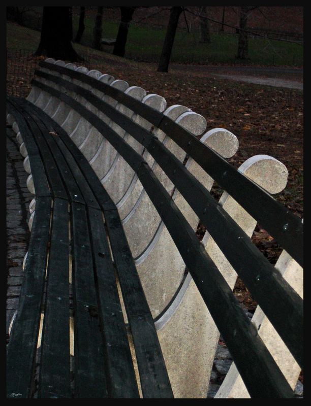 THE BENCH IN CENTRAL PARK