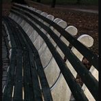 THE BENCH IN CENTRAL PARK