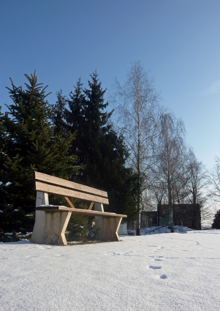 The bench in the sun