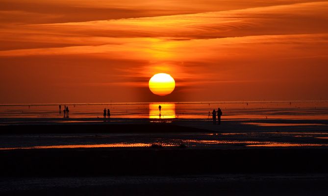 *the best journey always takes us home*