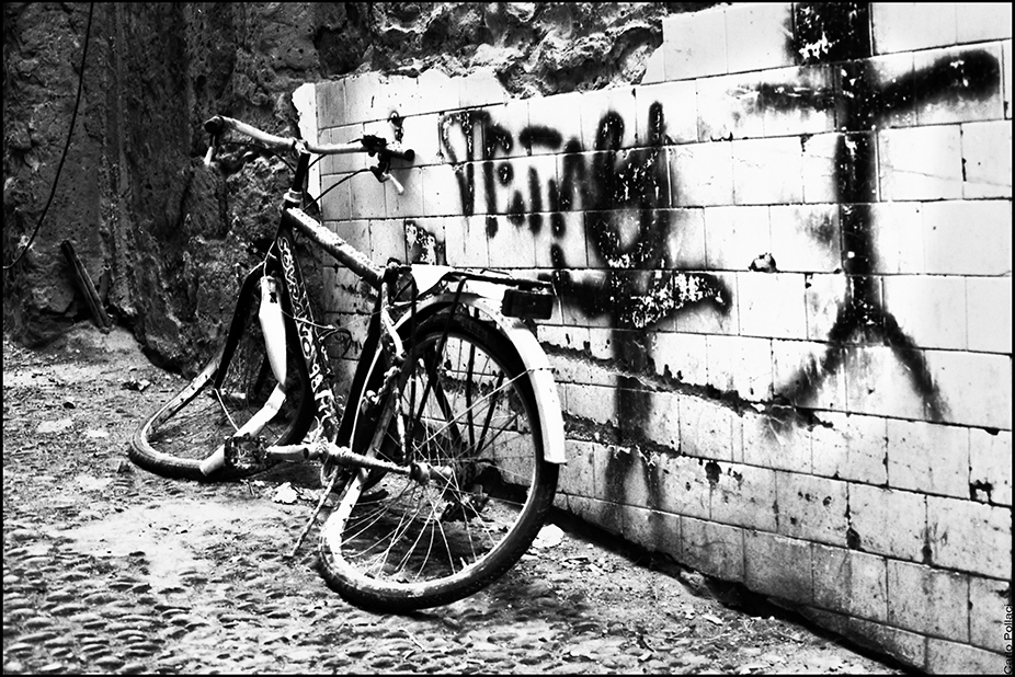 The bicycle