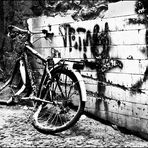 The bicycle