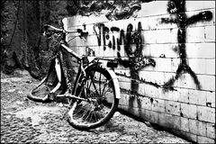 The bicycle