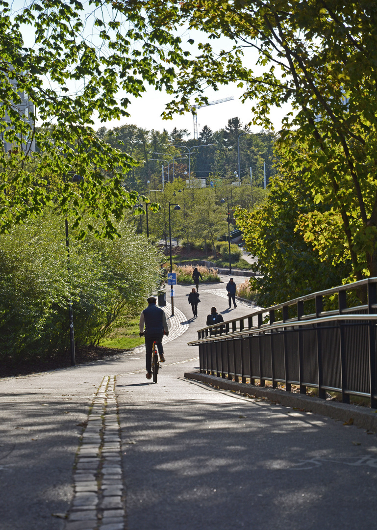 The bicycle way on center 1