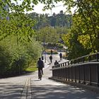 The bicycle way on center 1