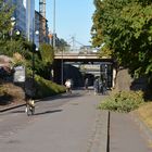 The bicycle way on Helsinki