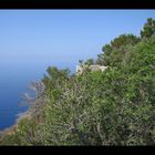 the big blue of mallorca