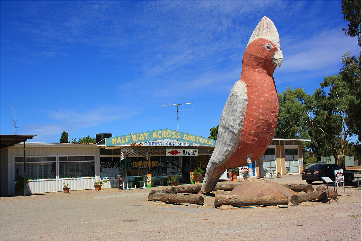 *** The big Galah / Half Way across Australia / Kimba SA ***