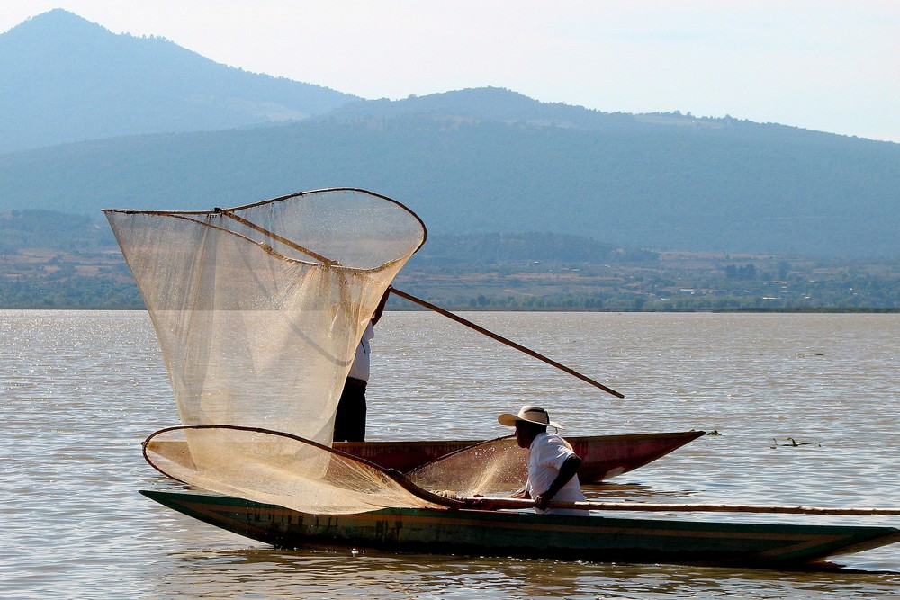 The Big Net