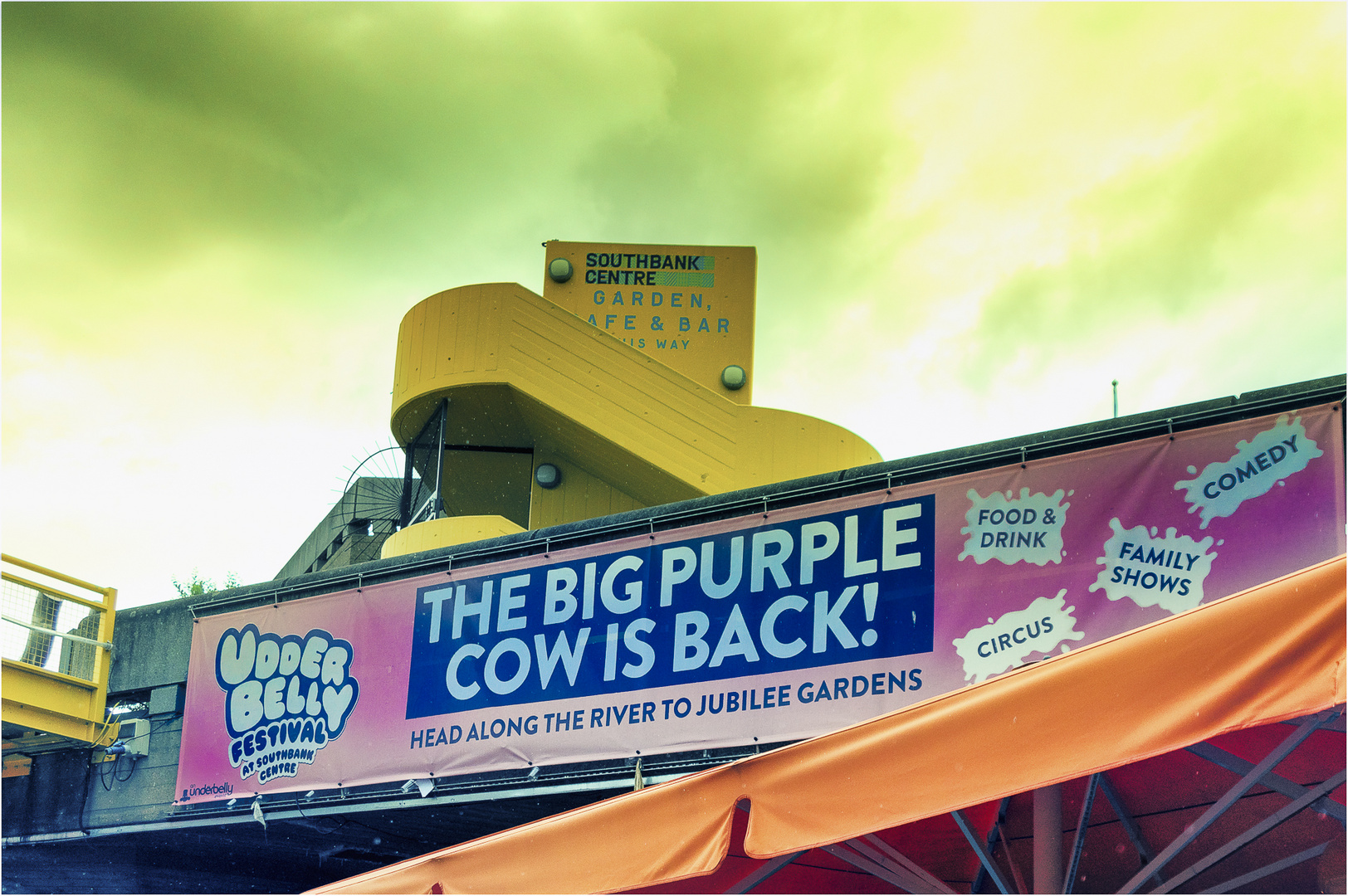 The Big Purple Cow Is Back