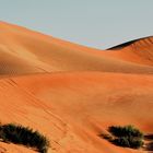 THE BIG RED DUNE