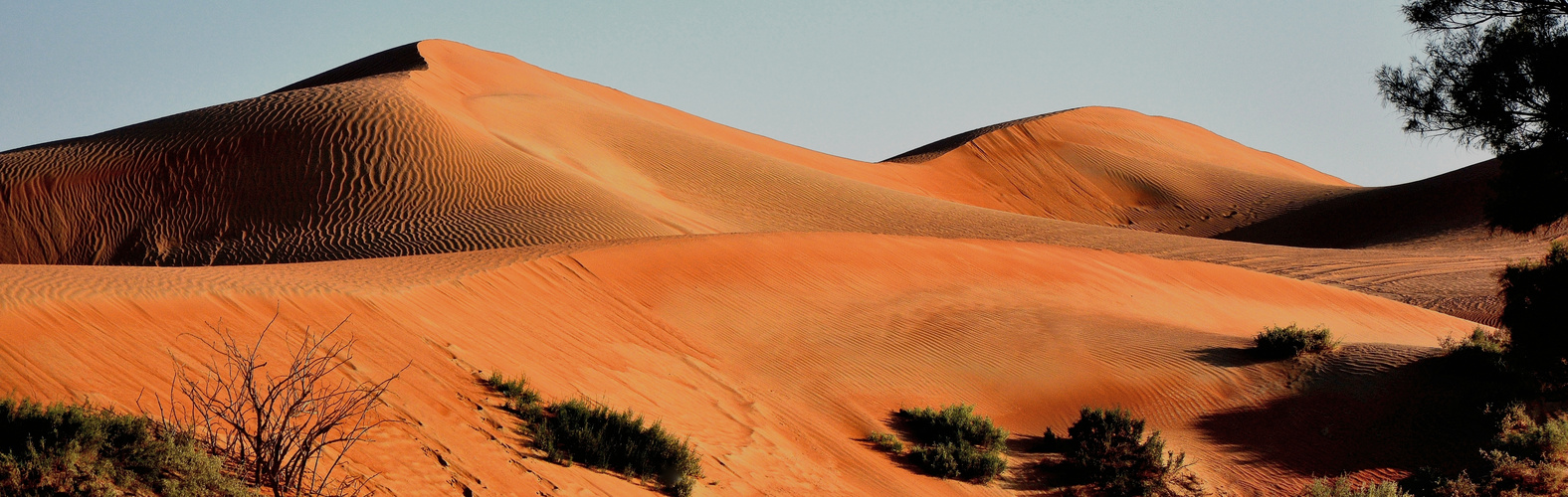 THE BIG RED DUNE