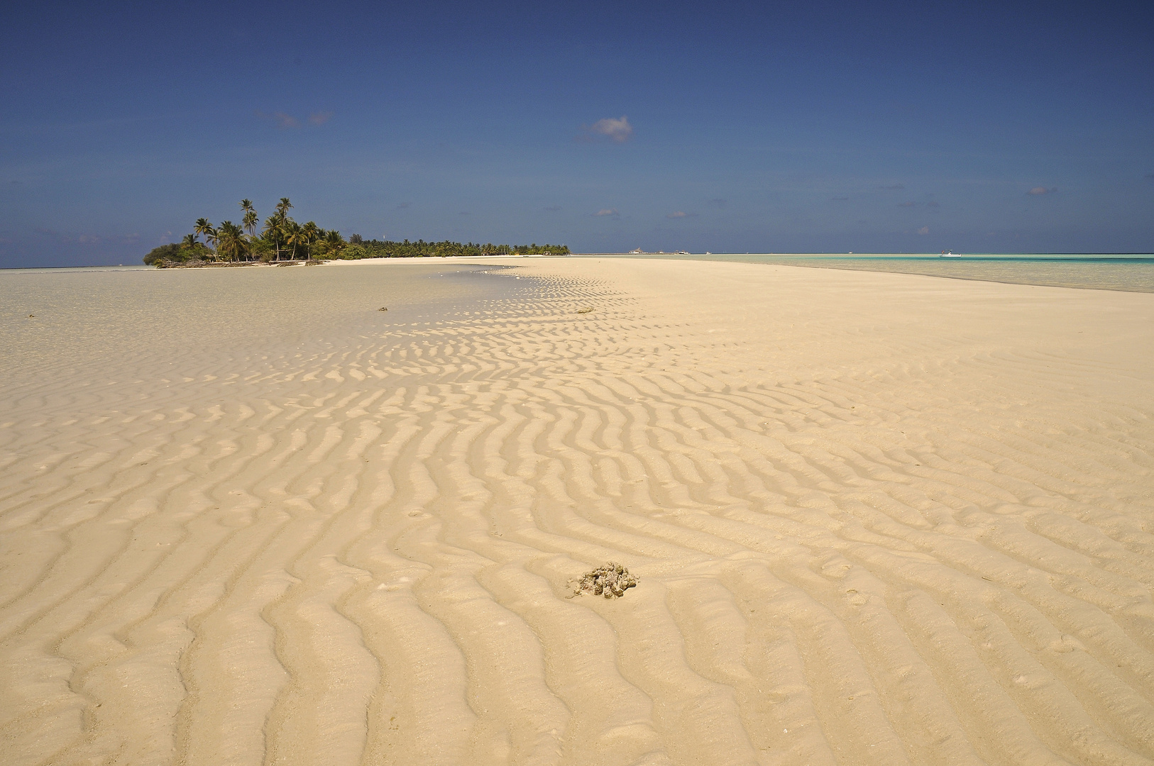 THE BIG SANDBANK