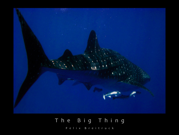 The Big Thing