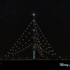 The biggest Christmas tree (366m)